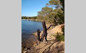 Face Mer Entre Plage Et Marina