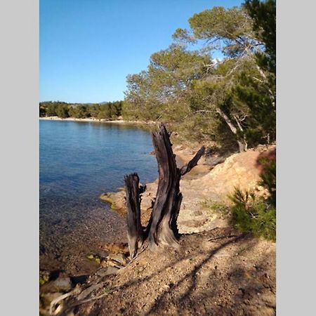 Face Mer Entre Plage Et Marina Bormes-les-Mimosas Extérieur photo